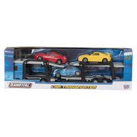 teamsterz transporter carry case