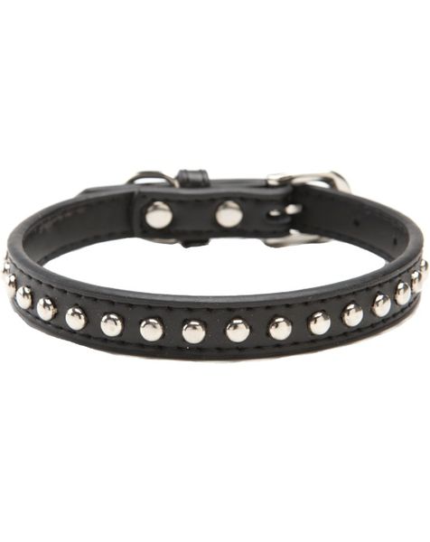 Doggie Hillfigher - Black Leather Stud Collar - Medium