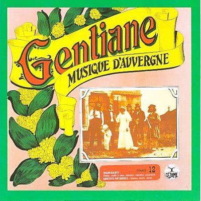 Musique D'auvergne (CD / Album)