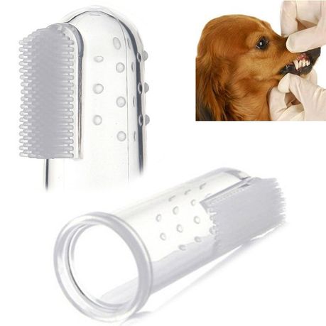 Silicone dog outlet toothbrush