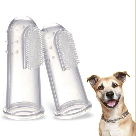 Finger brush for dogs best sale