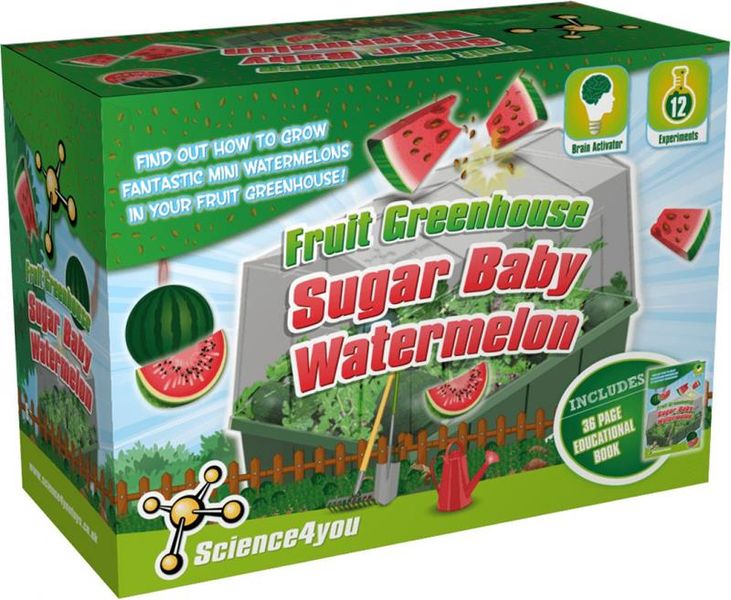 Jeronimo Science4you Fruit Greenhouse - Baby Watermelon