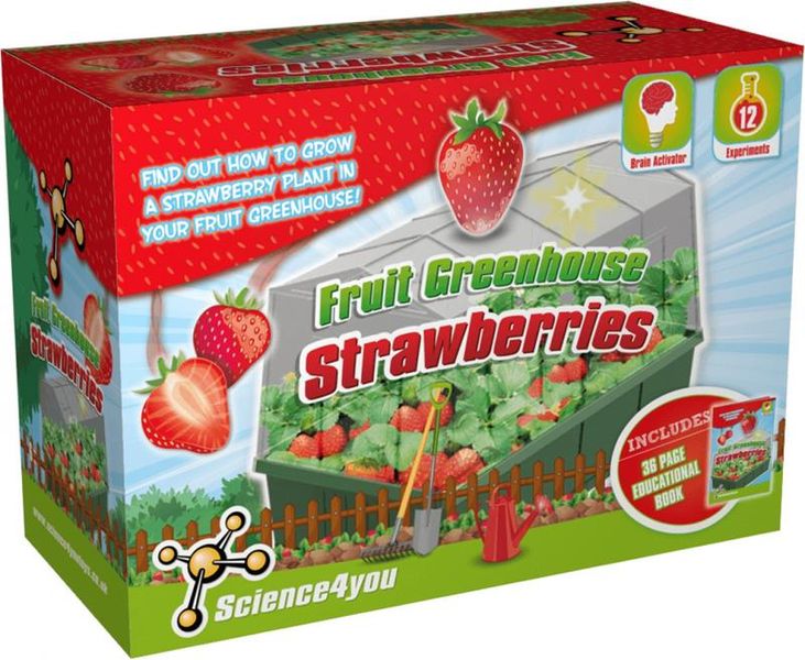 Jeronimo Science4you Fruit Greenhouse - Strawberries
