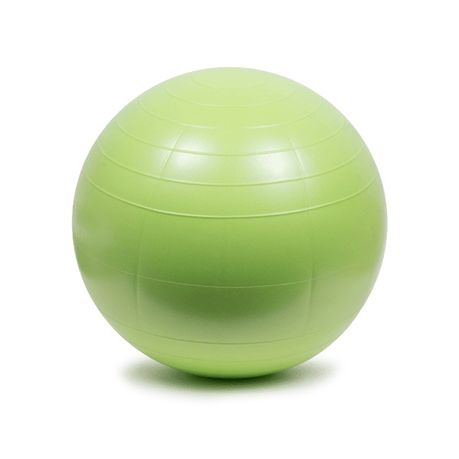 Medalist Anti Burst Gym Balls 65cm