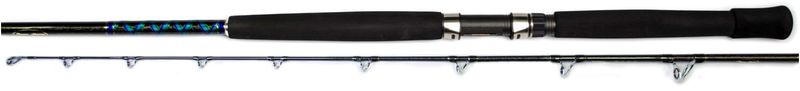 Shimano Beastmaster BMBT70H Rod