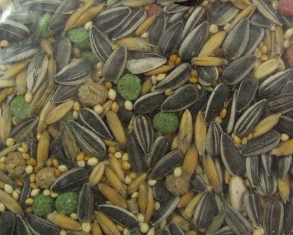 Drakensberg Pet Seed Cockatiel Mix - 5kg