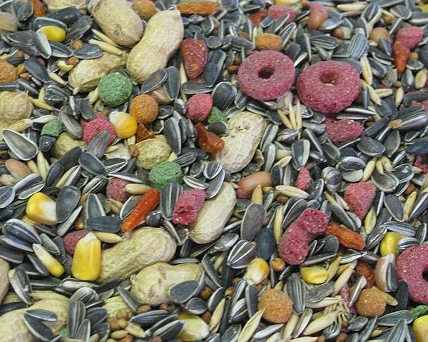 SA Pet Complete Seed Parrot Mix - 5kg