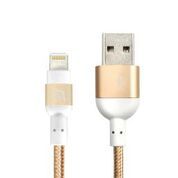 Peak Ii 20b-20cm Braided Lightning with Reversible Usb 0.2m Cable