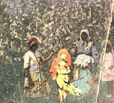 Paavoharju - Laulu Laakson Kukista (CD)