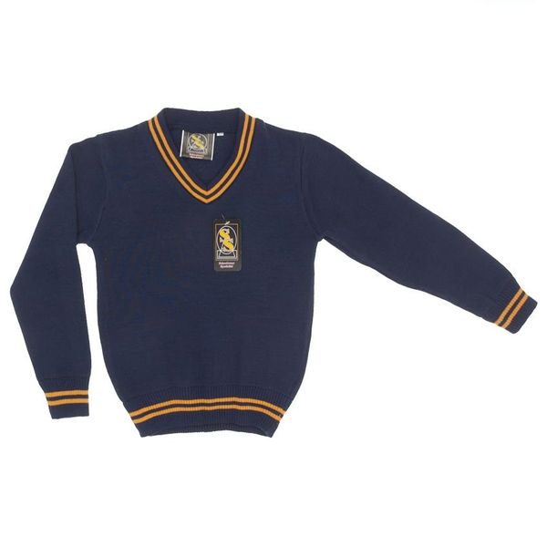Navy &amp; Gold image