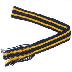 Schoolwear Specialist logo