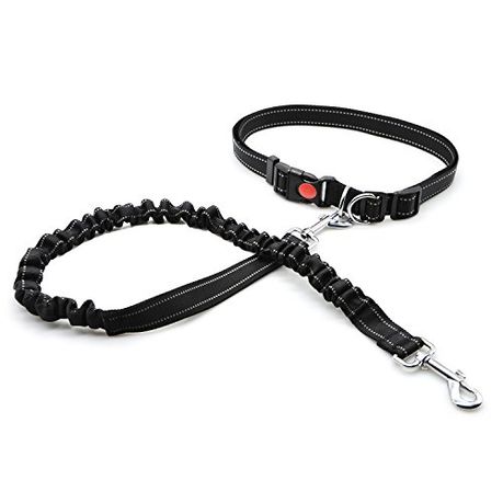 running leash for small dogs