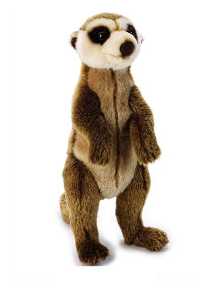 National Geographic Plush - Meerkat