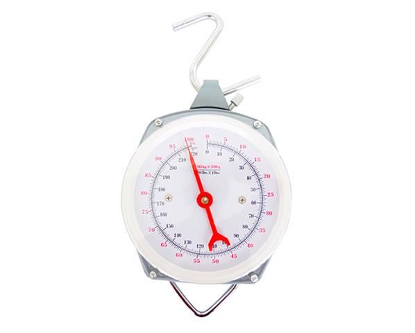 Hanging Scale - 100kg