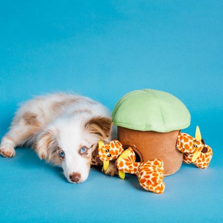 zippy paws hide and seek