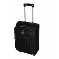 platinum trolley bag