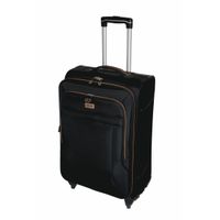 platinum trolley bag