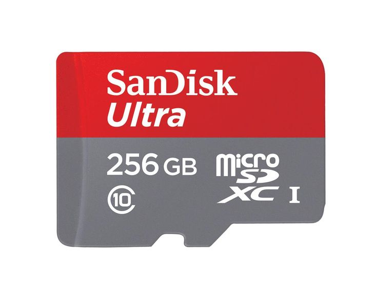 SanDisk 256GB MicroSD Card with Adaptor