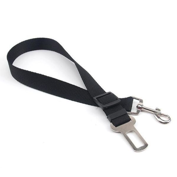 Paw Prints &amp; Curly Tails Seatbelt Clip - Sky Blue