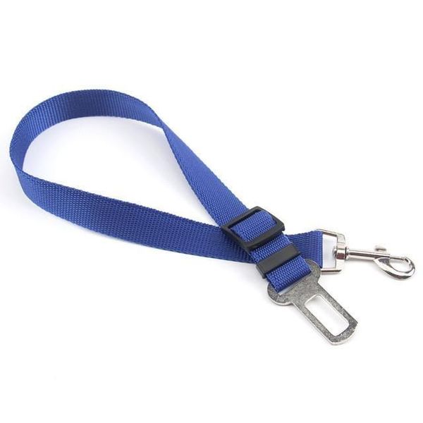 Blue image