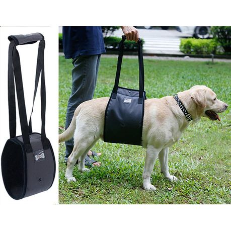 Dog Lift Support Harness with Handle Size L Shop Today. Get it Tomorrow takealot