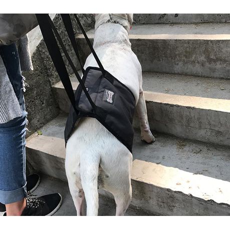 Pet vest support system support sling best sale