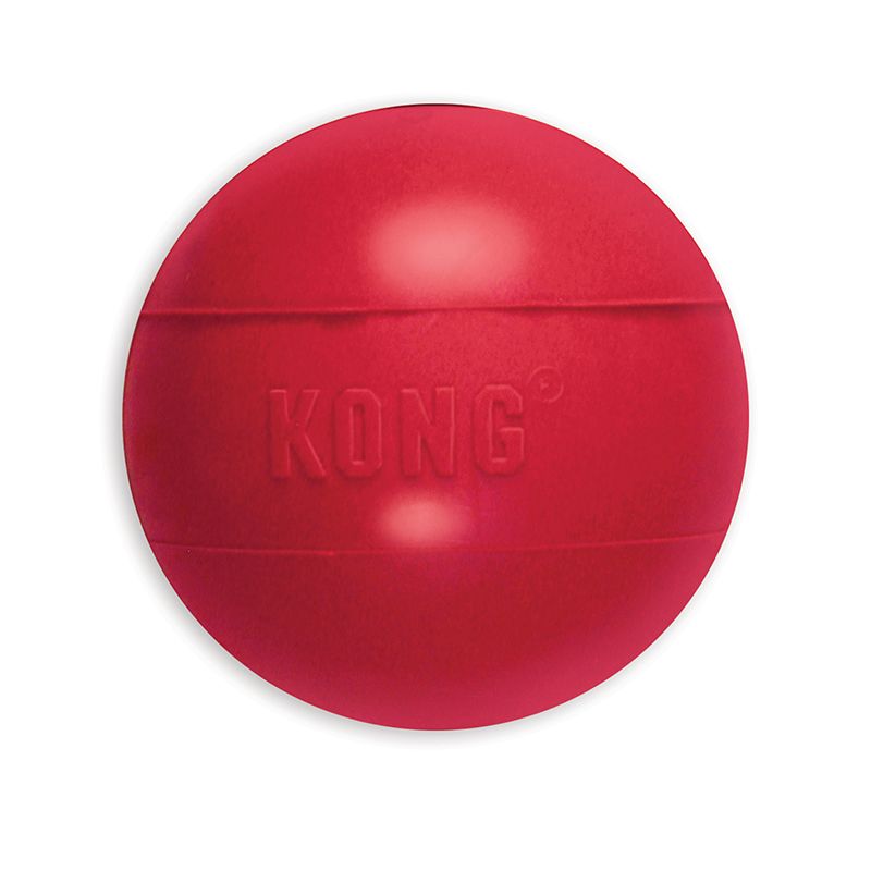 red ball dog toy