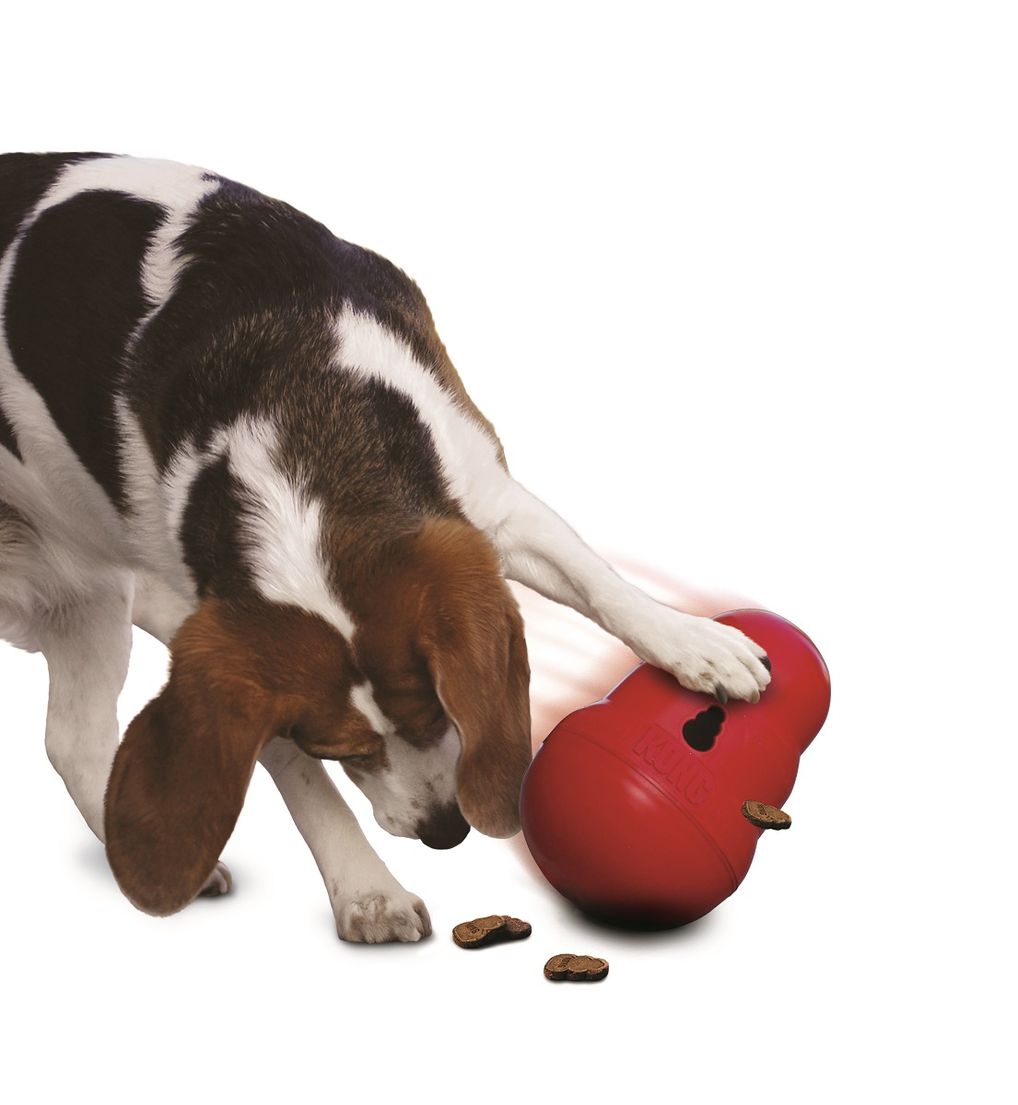 KONG Wobbler Treat Puzzle Dog Toy Red Large - Northwest Pets