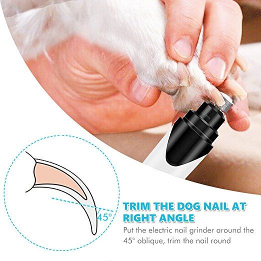 Pet electric outlet nail trimmer