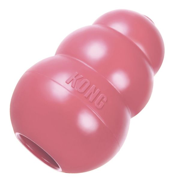 Kong - Puppy Treat Toy - Pink