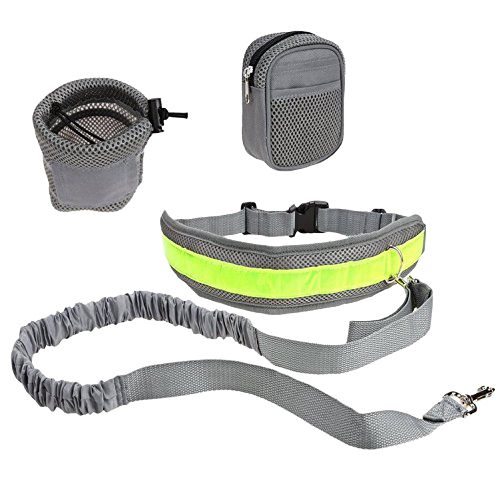 4-in-1 Hands Free Dog Leash