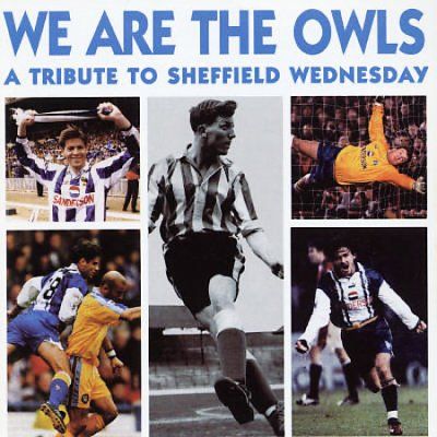 Tribute to We Are the Owls - (Import CD)