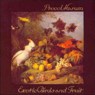Exotic Birds &amp; Fruit - (Import CD)