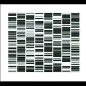 Ryoji Ikeda - Test Pattern (CD)