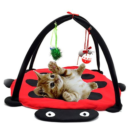 hanging cat toys