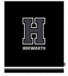 Harry Potter: H For Hogwarts - Throw (Parallel Import)