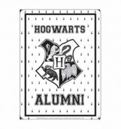 Harry Potter: Hogwarts Alumni - A5 Metal Wall Sign (Parallel Import)