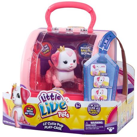 golden retriever puppy in basket