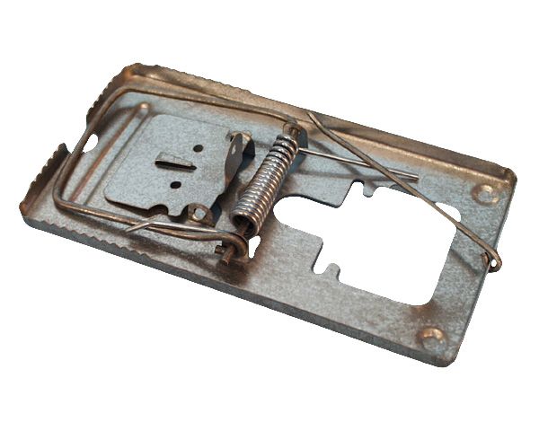Thumbnail product image - 1