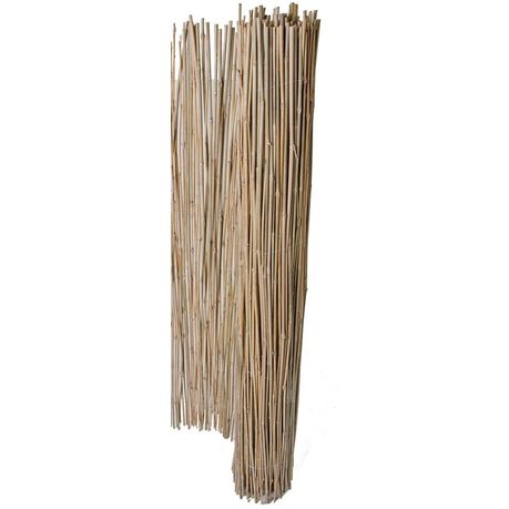 Brightfields Bamboo Tonkin Cane Fencing Natural 150 H X 200cm W Buy Online In South Africa Takealot Com