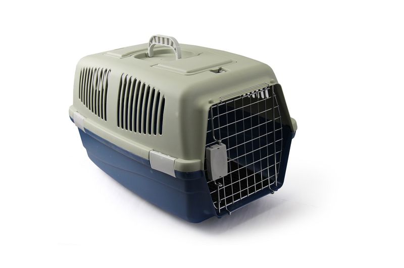 Rex - Medium Pet Travel Case - Grey