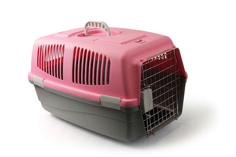 Rex - Large Pet Travel Case - Pink