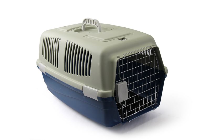 Rex - Large Pet Travel Case - Grey