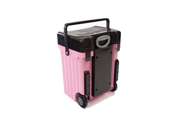 Cadii School Bag Black Lid with Pink Body Shop Today. Get it Tomorrow takealot