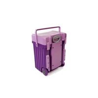 Cadii School Bag - Lilac Lid with Purple Body | Buy Online in South ...