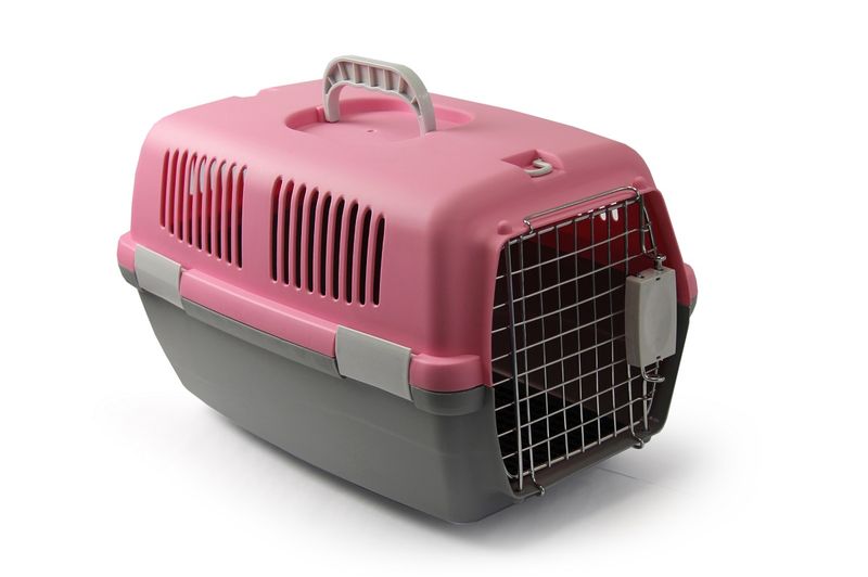 Rex - Small Pet Travel Case - Pink