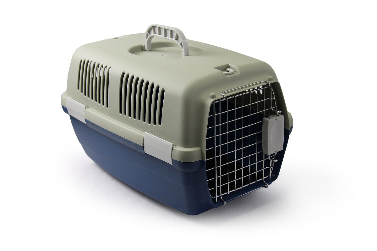 Rex Small Pet Travel Case Grey Buy Online in South Africa