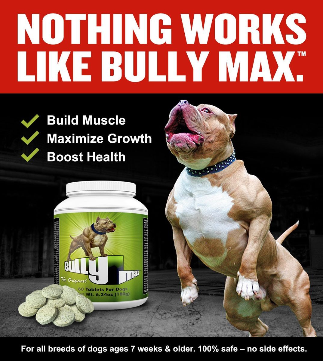 bully max sa