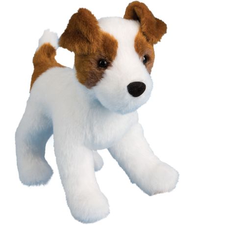 toy jack russell