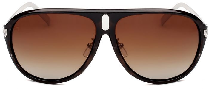 Grey Tortoise image